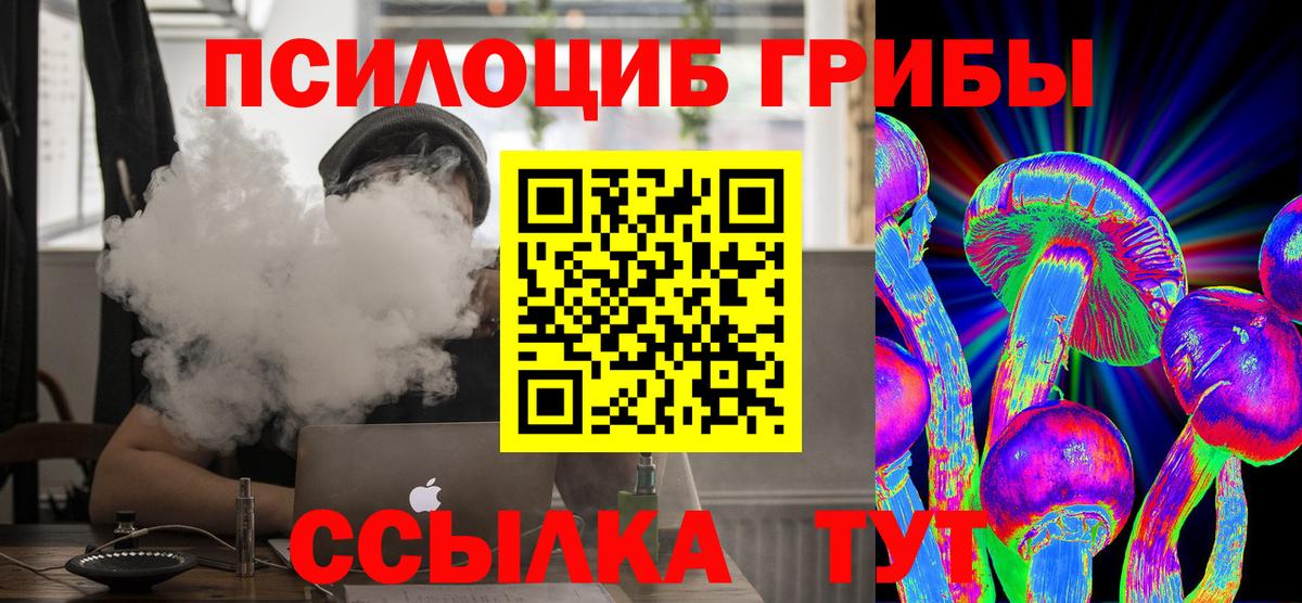 Псилоцибиновые грибы Psilocybe Кемерово