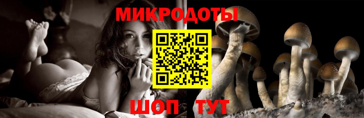 Галлюциногенные грибы Psilocybine cubensis  Галлюциногенные грибы GOLDEN TEACHER  Кемерово  Вход с VPN 
